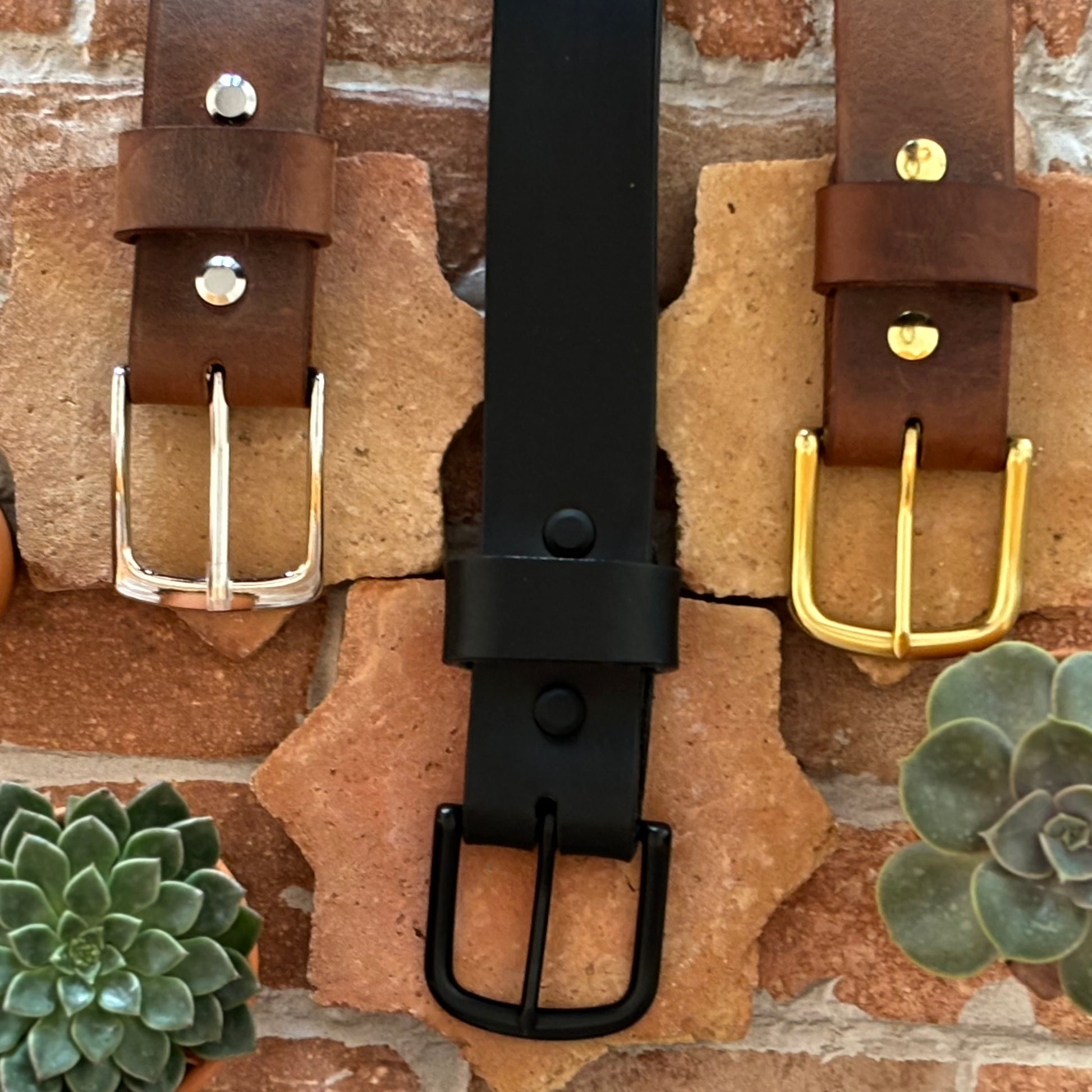 Rocky, Conciera Walpier / Dakota, La Perla Azzurra *color cards are not for sale*